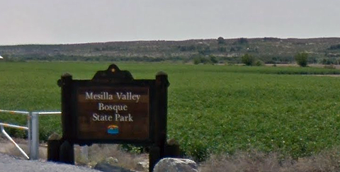Mesilla-Valley-Bosque-State-Park